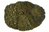 Polished Barite and Marcasite - Lubin Mine, Poland #335141-1